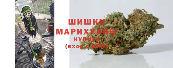 ГАЛЛЮЦИНОГЕННЫЕ ГРИБЫ Балабаново