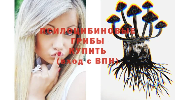 Альфа ПВП Баксан