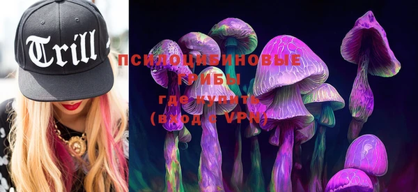 ГАЛЛЮЦИНОГЕННЫЕ ГРИБЫ Балабаново