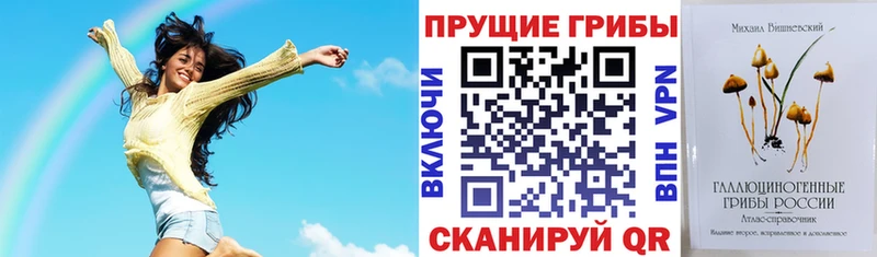 Псилоцибиновые грибы Psilocybe  Шиханы 